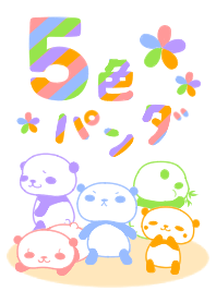 Panda of five-color.
