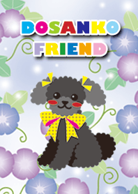 #cool [toy poodle/Black] morning glory