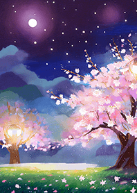 Beautiful night cherry blossoms#1647