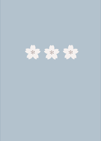 Simple and cute cherry blossoms4