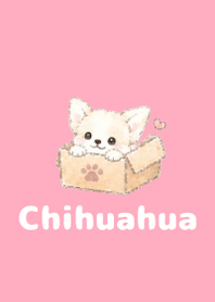 Sketch Chihuahua Pink 04