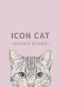 ICON CAT -Mixed breed cat- PASTEL PK/16