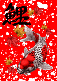 carp 3