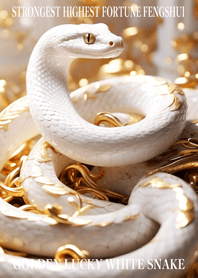 Golden White Snake of Financial Luck 8