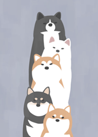 コーギーと柴犬