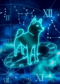 Zodiac Dog -Sagittarius- 2022