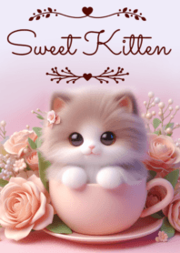Sweet Kitten No.237