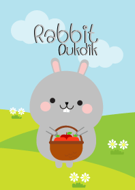 Lovely Gray Rabbit Duk Dik Theme (jp)