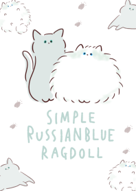 Russian Blue Ragdoll white and blue