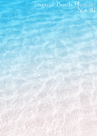 TropicalBeach Photo30 Not AI