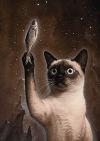 우주의 신비 - 고양이와 말린 생선1.6