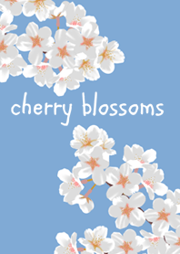 +桜+