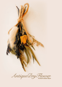 Antique dried flowers 15