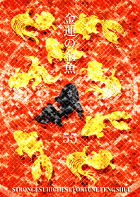 Goldfish of money luck Lucky number 55
