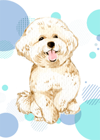 Bichon Frise by Ystudio