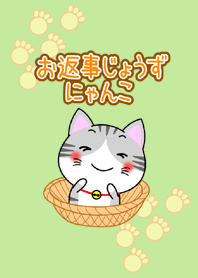The kitty who  knows how to reply