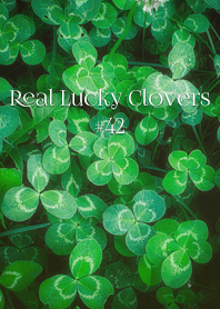 Real Lucky Clovers #42