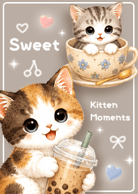 brown Sweet Kitten Moments