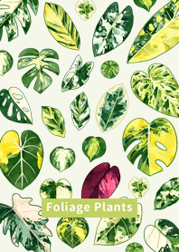 Foliage Plants 4