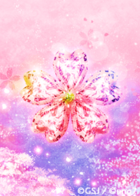 Good luck Cherry Blossom x Crystal