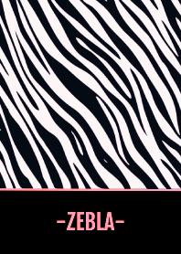 ZEBRA THEME 33