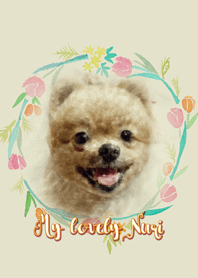 My lovely nuri !