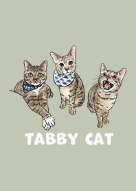 tabbycat2 - mist green