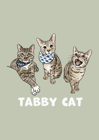 tabbycat2 / mist green