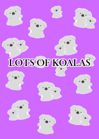 LOTS OF KOALAS-NEON PURPLE-BLACK