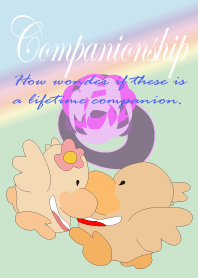 Companionship
