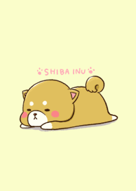 Cute Mini-Shiba