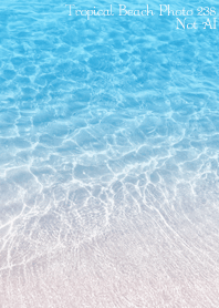 Tropical Beach Photo 238 Not AI