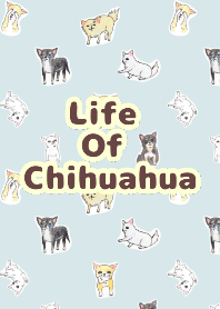 Life of Chihuahua(English)