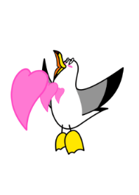 Black-tailed Gull 3 JPN