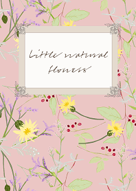 Little natural flowers 31. Pink beige