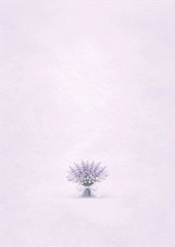 Purple Bouquet Minimalist