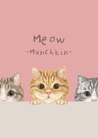 Meow - Munchkin - PINK LEMONADE