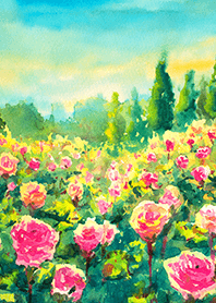 Beautiful rose flower(R4707)