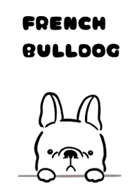 French Bulldog x White.