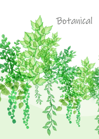 緑溢れる植物の空間