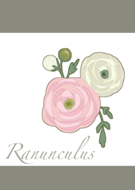 Ranunculus