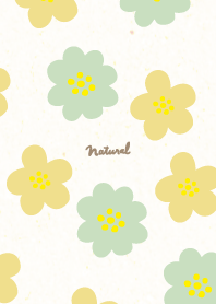 Two types of colorful flowers22 Japan