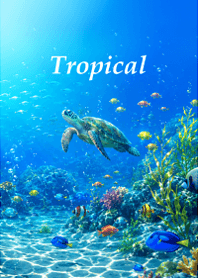 Happy tropical sea1.