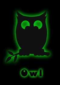 Night Owl
