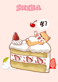 ญา ใครไม่บะ ชิบะ 4 V07