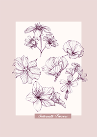 Sidewalk Flowers