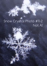 Snow Crystal Photo #11-2 Not AI