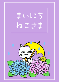 Every day Cat36. -Rain and hydrangea-