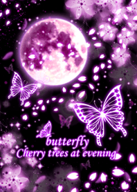 butterfly cherry trees at evening