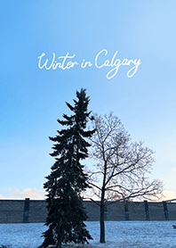 Winter in Calgary (17)